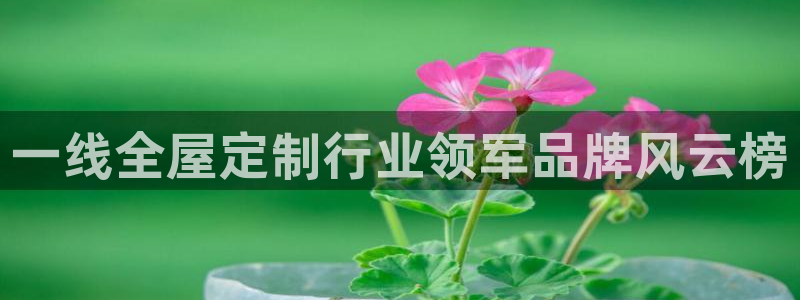 xbb电子游艺