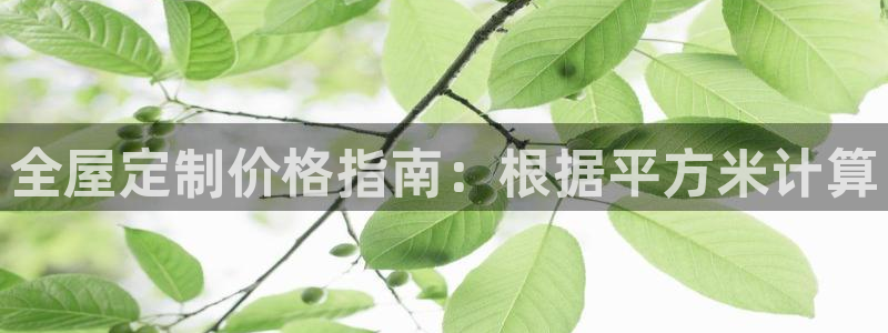 BB电子骗局