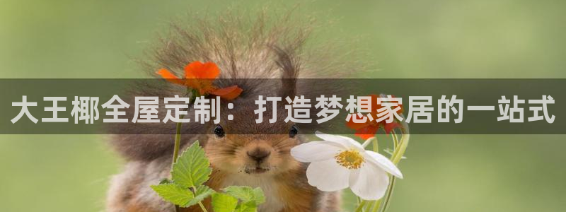 bb电子哪个平台好出款啊