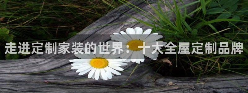 BB电子锁怎么接电