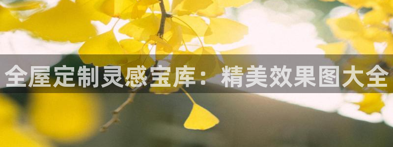 bb电子哪个平台好