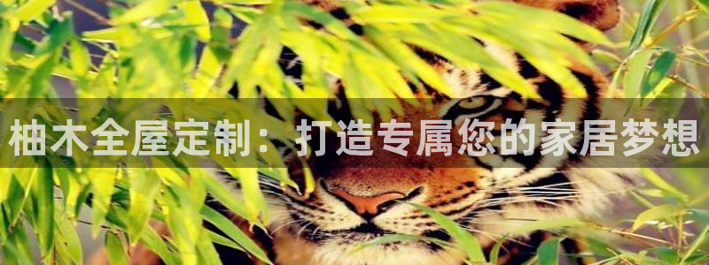 BB电子连环夺宝