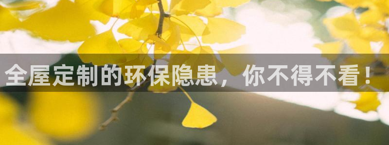 bb电子哪个平台好用一点