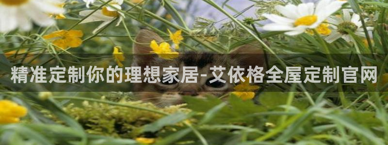 网上bb电子为什么那么假的