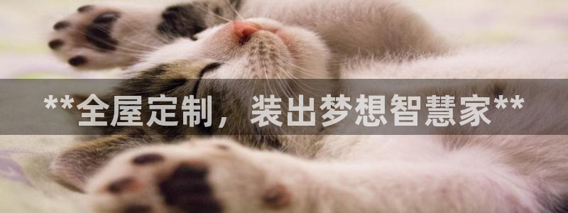 xbb电子游艺