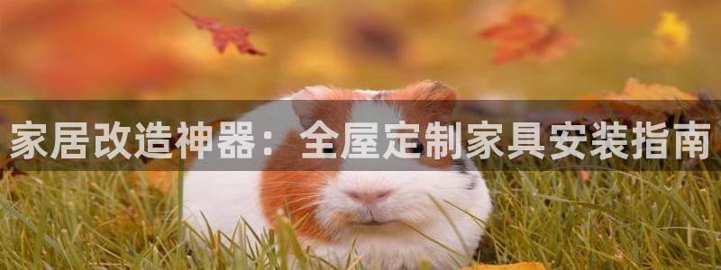 Bb电子琴和弦是哪个