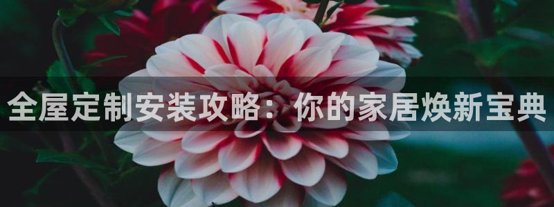 bb电子哪个平台好一点