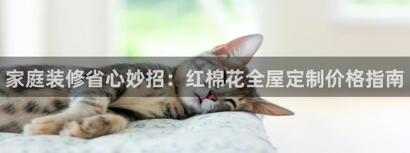bb电子哪个平台好一点