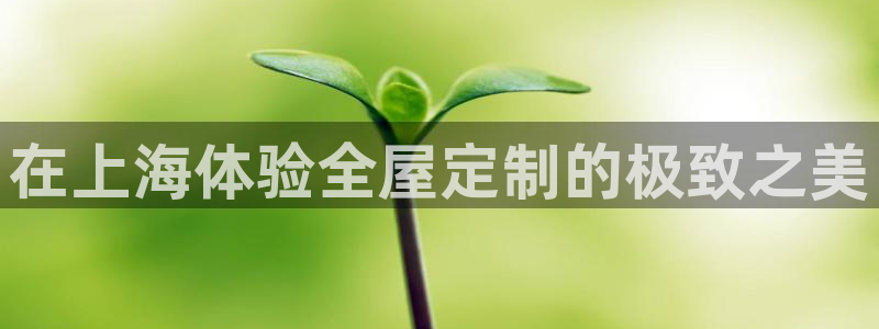 bb电子哪个平台好用点