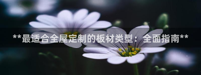 BB电子开户