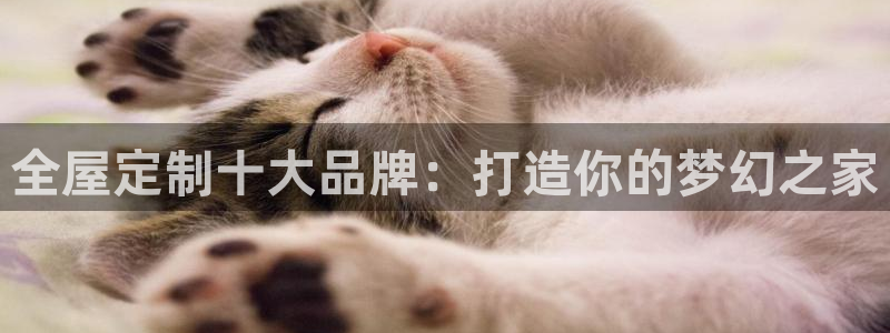 bb电子哪个平台好
