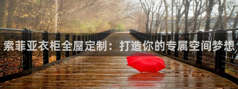 bb电子哪个平台好用点