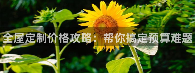 bb电子糖果彩球