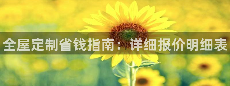 bb电子哪个平台好用点
