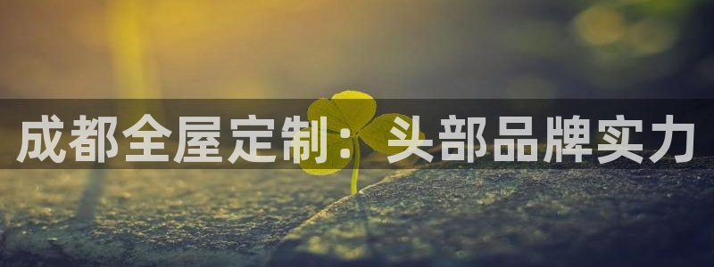 bb电子哪个平台好一点