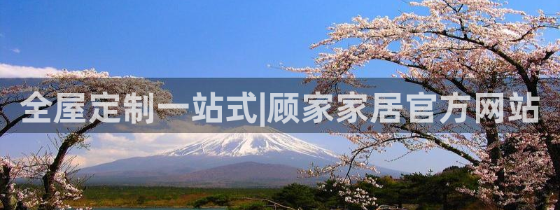 bb电子哪个平台好一点