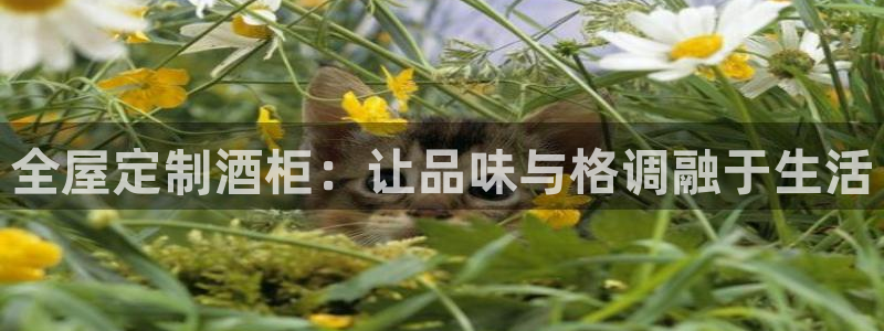 bb电子官网登录