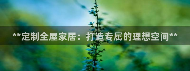 bb电子哪个平台好用