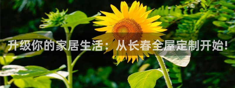 bb电子哪个游戏好赢钱一点