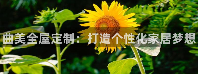 bb电子什么游戏好赢一点