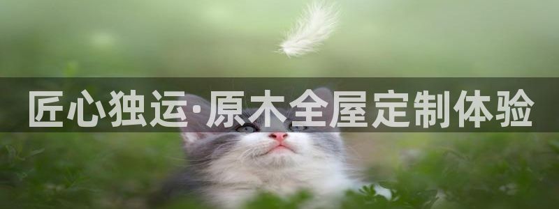 bb电子哪个游戏好赢钱一点