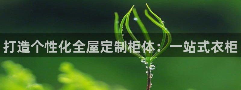 bb电子中了Major怎么算