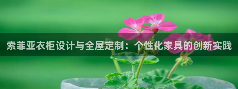 网上bb电子为什么那么假的