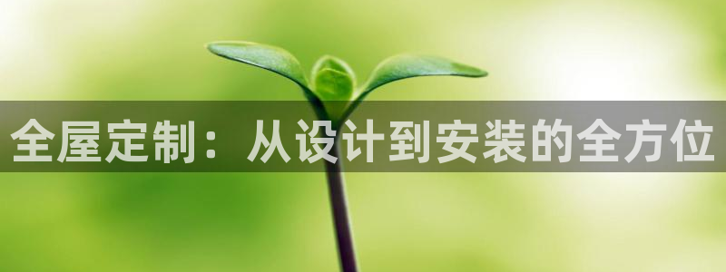 bb电子哪个平台好出款啊