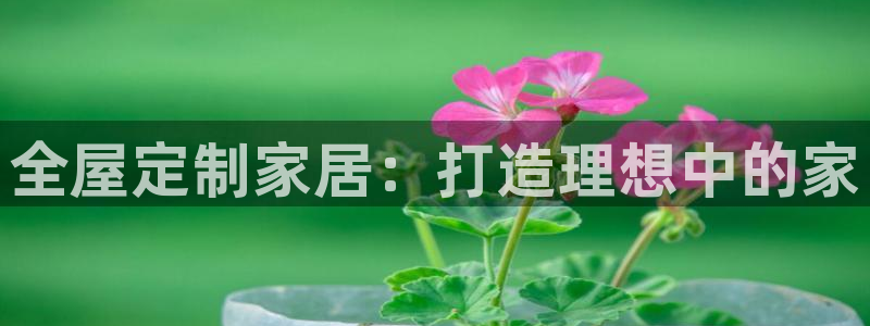 bb电子哪个平台好