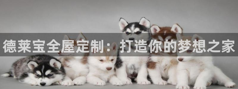 bb电子哪个平台好一点