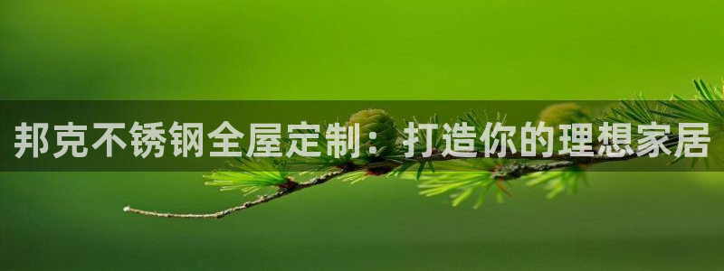 bb电子哪个平台好啊