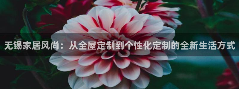 bb电子教育平台