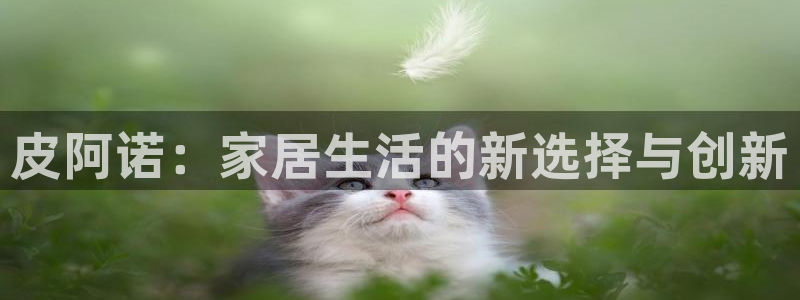 bb电子为什么总赢不了