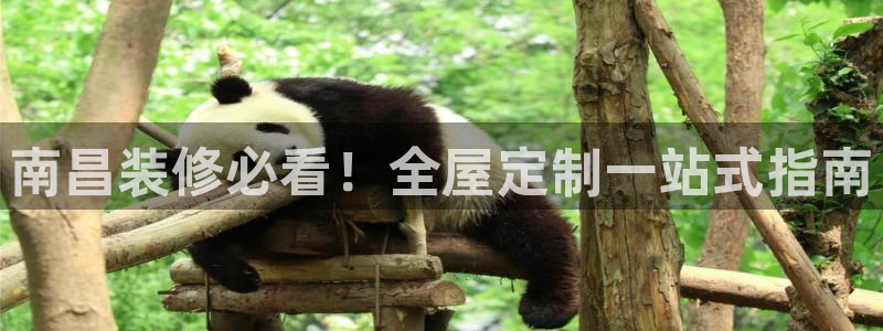 bb电子哪个平台好出款啊