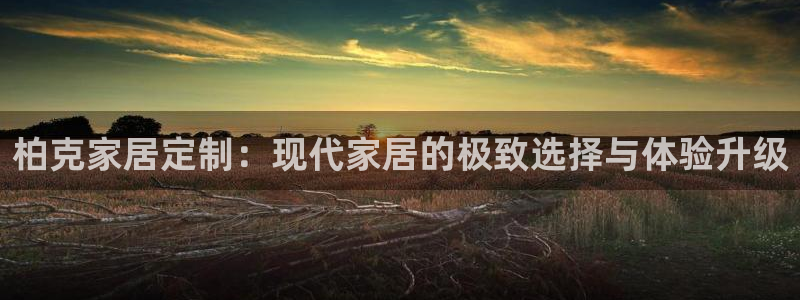 网上bb电子为什么那么假的