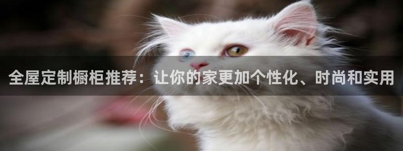 bb电子糖果哪个网站好mg官方电子平台