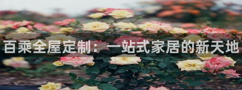 bb电子哪个平台好