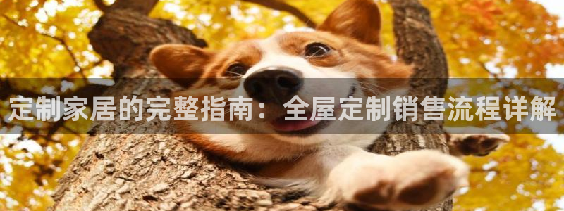 bb电子哪个平台好一点