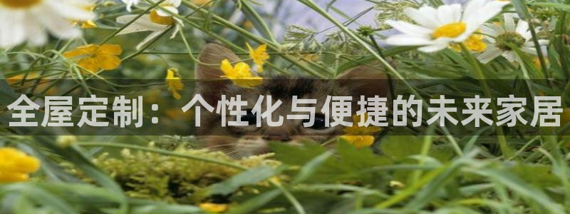 BB电子怪物派对