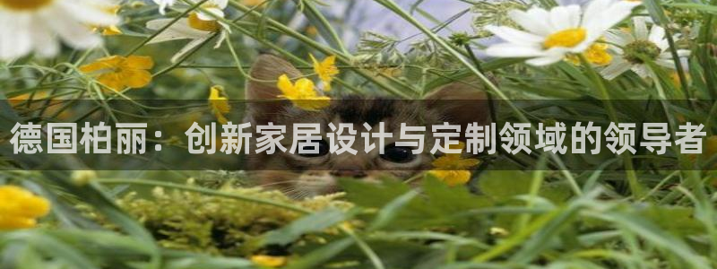 bb电子教育平台