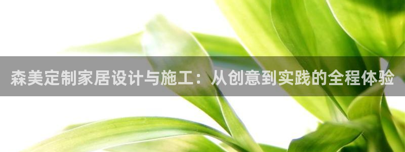 bb电子怎么英语怎么说