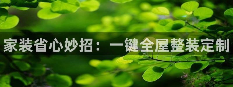 bb电子哪个平台好点