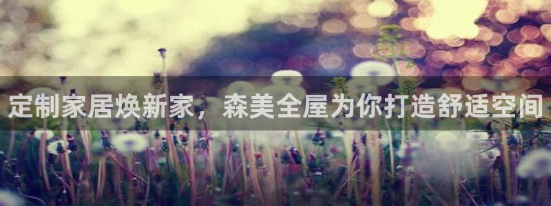 bB电子琴和弦