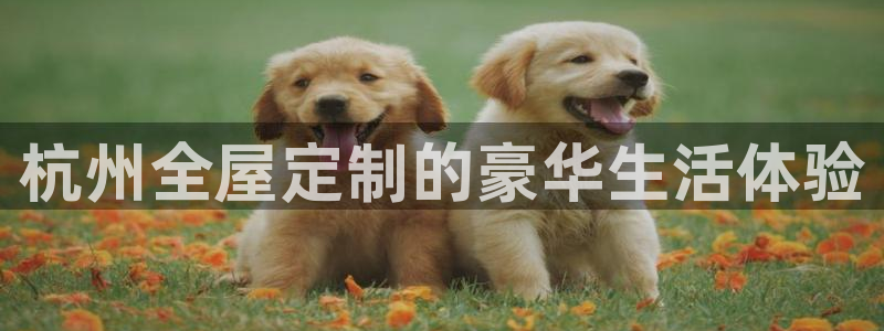 bb电子官网