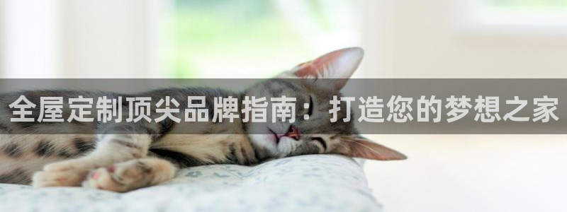 bb电子哪个平台好用点