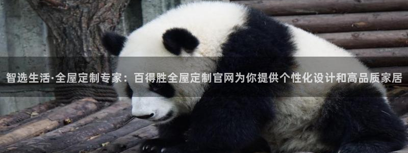 bB电子琴和弦