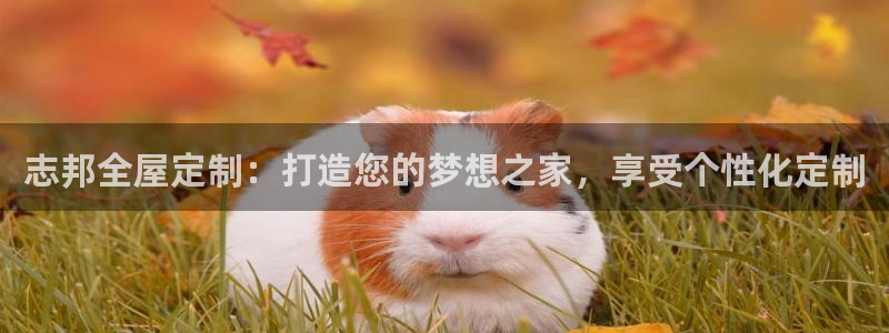 bb电子什么游戏好赢