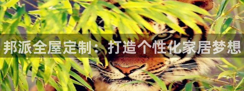 bb电子是怎么控制玩家输赢的