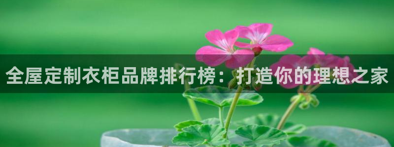 bB电子琴和弦