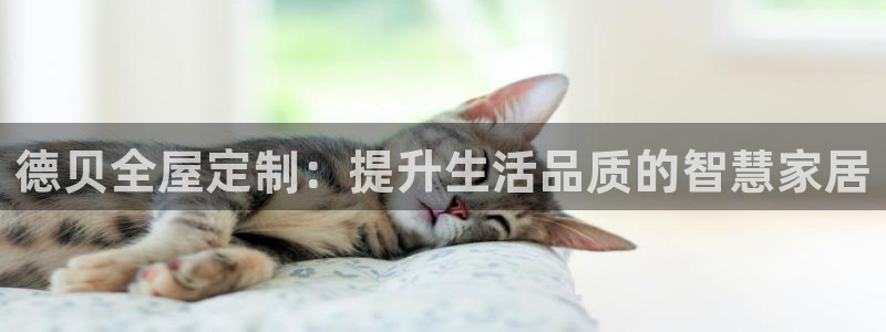 bb电子哪个平台好点